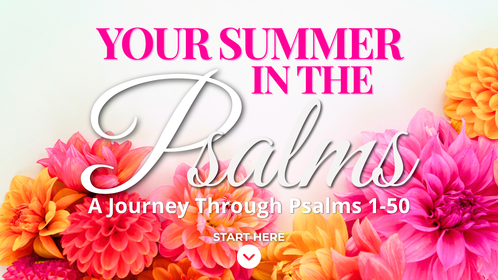 A Journey Through Psalms 1-50 Your Summer in the Psalms landing page