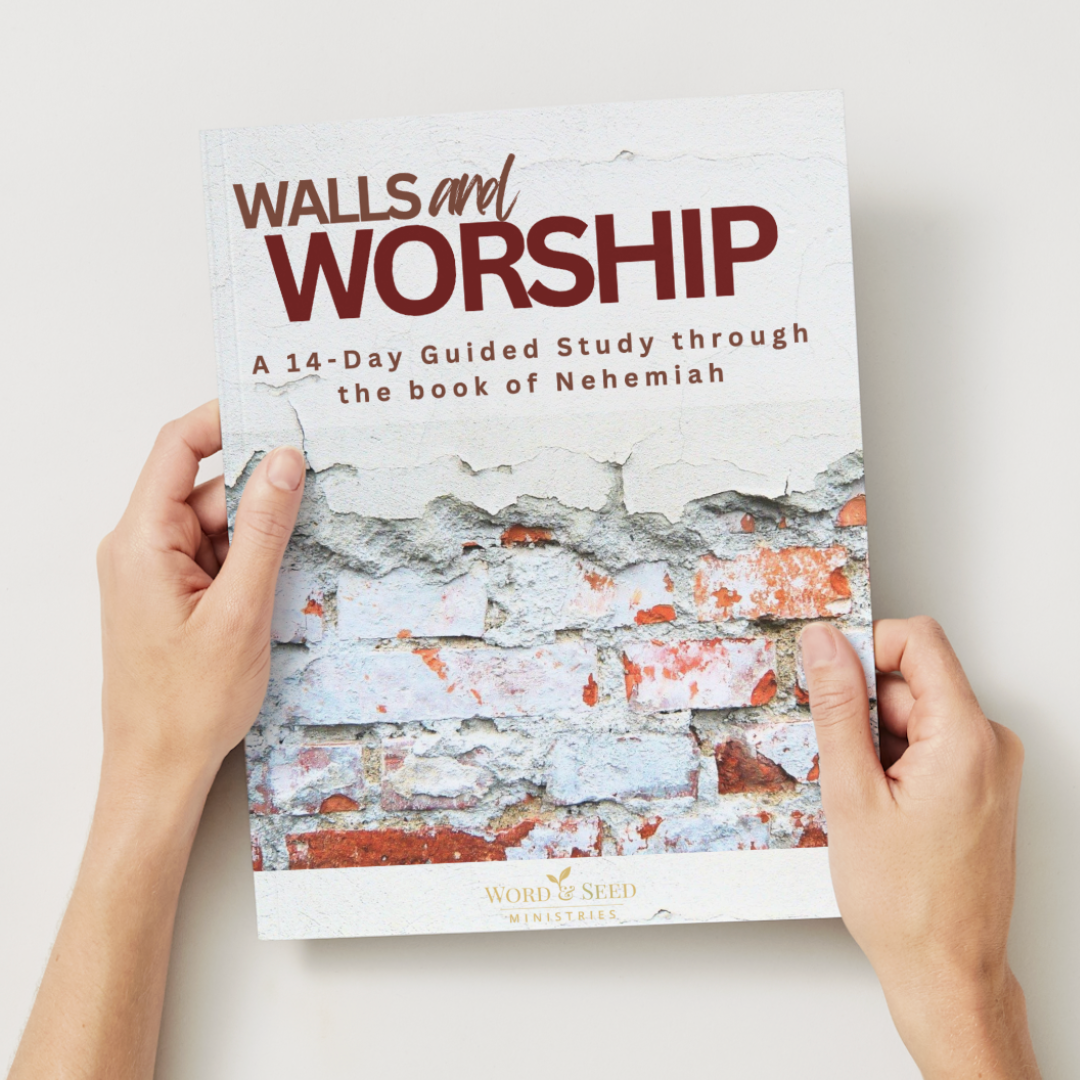 Nehemiah Study Guide (2)